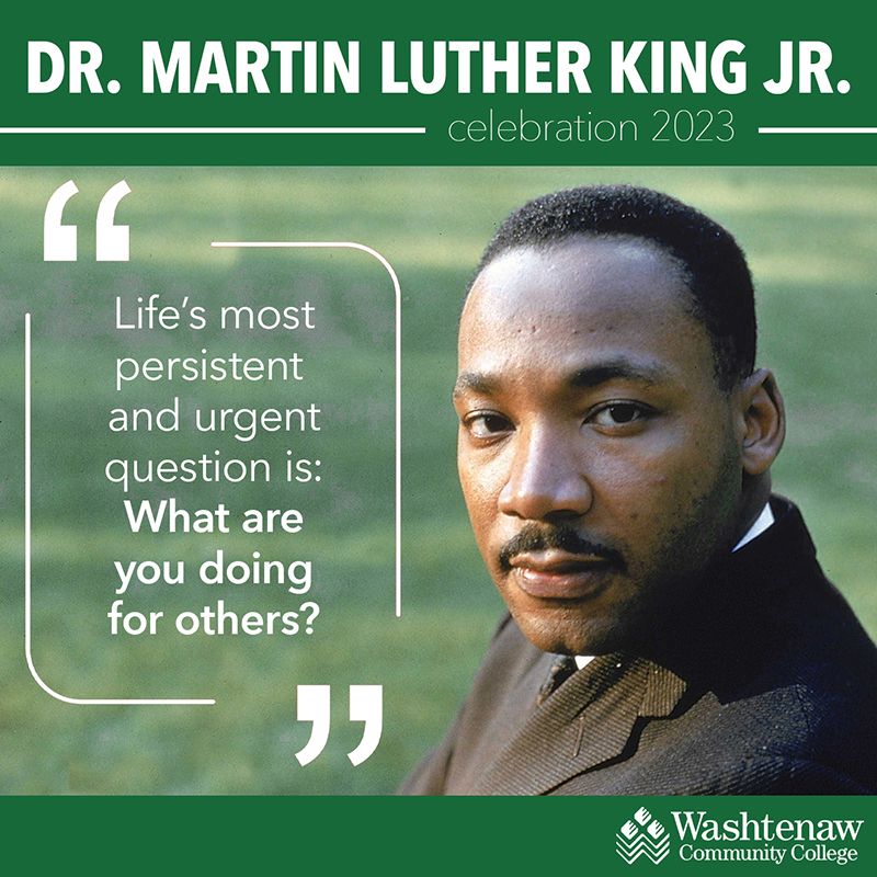 what are you doing for others mlk